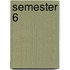 Semester 6