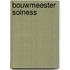 Bouwmeester Solness