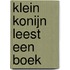 Klein konijn leest een boek