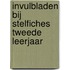 Invulbladen bij stelfiches tweede leerjaar
