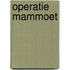 Operatie Mammoet