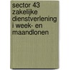 Sector 43 Zakelijke Dienstverlening I Week- en maandlonen door Onbekend