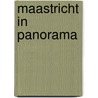 Maastricht in panorama by Jenniskens