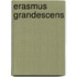 Erasmus grandescens