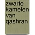 Zwarte kamelen van qashran