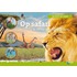 Op safari