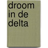 Droom in de delta door Craig Thomas