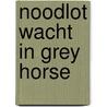 Noodlot wacht in grey horse by James G. Hunt