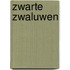Zwarte zwaluwen