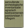 Aanvullende Archeologische inventarisatie agrarisch bedrijventerrein Pastoorslaan 1 Hillegom door F.A. van Meurs