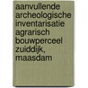 Aanvullende archeologische inventarisatie agrarisch bouwperceel Zuiddijk, Maasdam door J. Ras