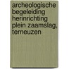 Archeologische begeleiding herinrichting Plein Zaamslag, Terneuzen by L.R. Van Wilgen