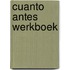 Cuanto antes werkboek