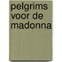 Pelgrims voor de madonna
