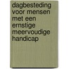 Dagbesteding voor mensen met een ernstige meervoudige handicap by Unknown