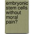 Embryonic stem cells without moral pain?