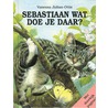 Sebastiaan wat doe je daar?