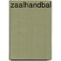 Zaalhandbal