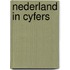 Nederland in cyfers