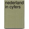 Nederland in cyfers door Richard J. Parmentier