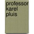 Professor karel pluis