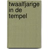 Twaalfjarige in de tempel by Graft