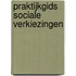 Praktijkgids sociale verkiezingen