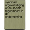 Syndicale afgevaardiging of de sociale tegenmacht in de onderneming by Rigaux