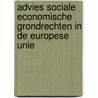 Advies sociale economische grondrechten in de Europese Unie by Unknown