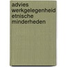 Advies werkgelegenheid etnische minderheden by Unknown