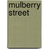 Mulberry Street