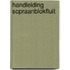 Handleiding sopraanblokfluit