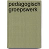 Pedagogisch groepswerk door Vulsma