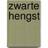 Zwarte hengst