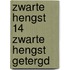 Zwarte hengst 14 zwarte hengst getergd