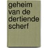 Geheim van de dertiende scherf