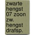 Zwarte hengst 07 zoon zw. hengst drafsp.