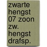 Zwarte hengst 07 zoon zw. hengst drafsp. door Marc Farley