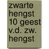 Zwarte hengst 10 geest v.d. zw. hengst