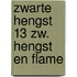 Zwarte hengst 13 zw. hengst en flame