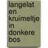 Langelat en kruimeltje in donkere bos