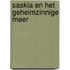 Saskia en het geheimzinnige meer