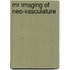 MR imaging of neo-vasculature