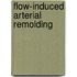 Flow-Induced Arterial Remolding