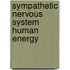 Sympathetic nervous system human energy