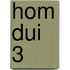 HOM DUI 3