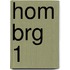 HOM BRG 1