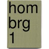 HOM BRG 1 by V. Bouwhuis