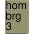 HOM BRG 3