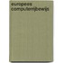 Europees computerrijbewijs